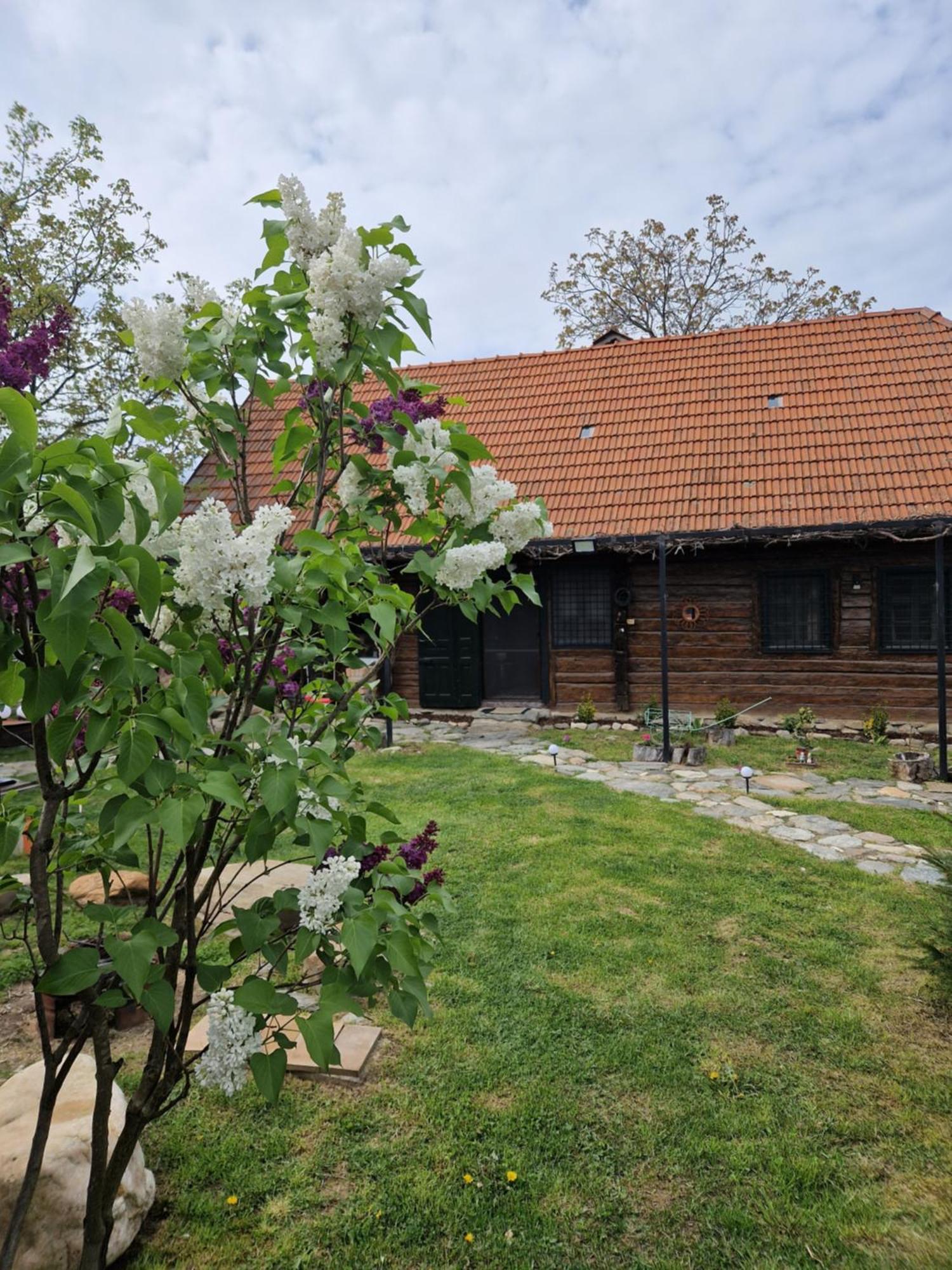 Casa Hariton Villa Dragus Buitenkant foto